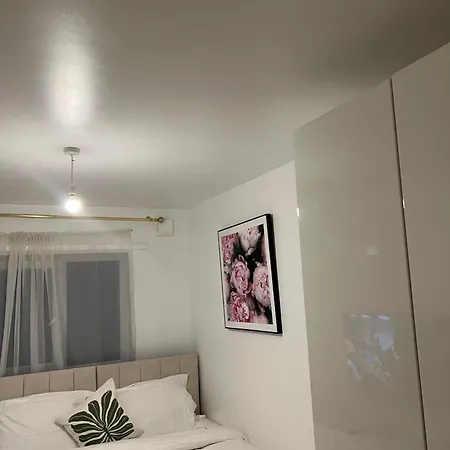 Stars Luxury Home-2