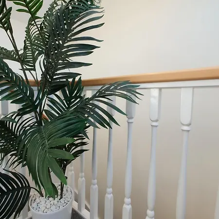 59 Moss Green - Close To The City Centre-2
