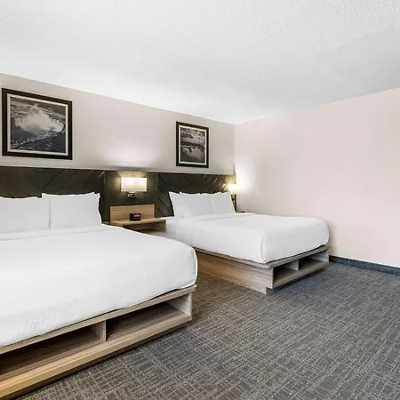 Best Western Buffalo Inn & Suites-3