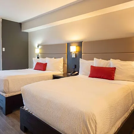 Ramada By Wyndham Ottawa On The Rideau-3