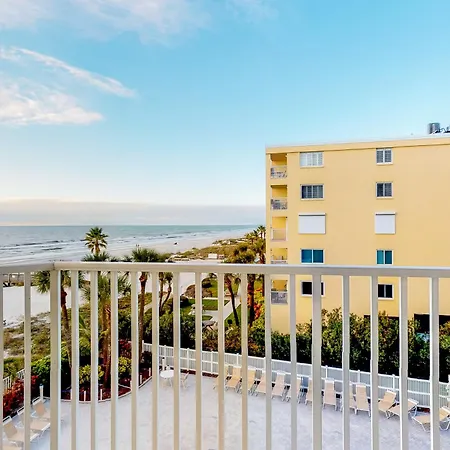 Beach Palms 309-2