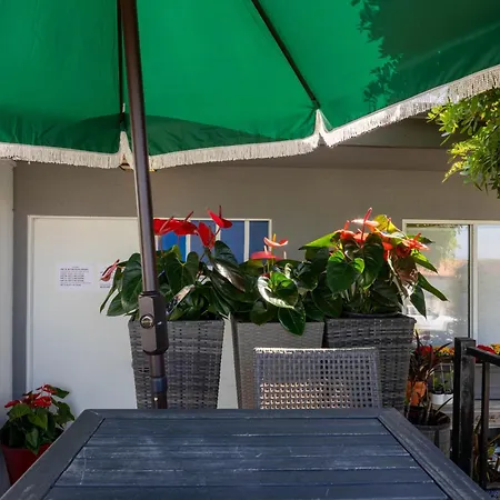 Overlooking Marina Del Rey Sailboats, Is Green Ginger Playa Del Rey On The Bluff,-2