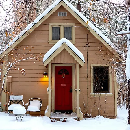 Sleepy Forest Cottages-2
