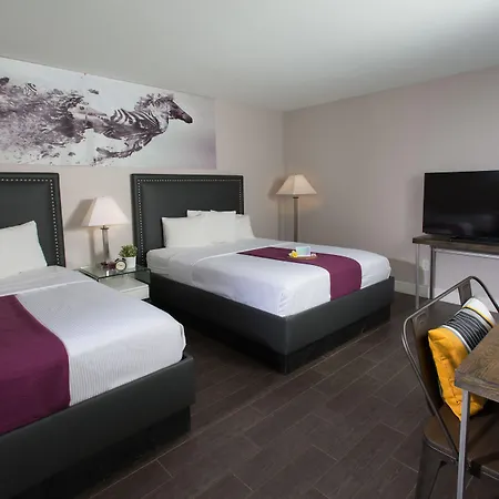 Hotel Iris - Mission Valley-San Diego Zoo-Seaworld-3