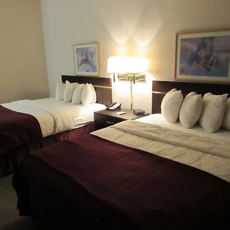 Quality Inn & Suites Omaha Chalco-3