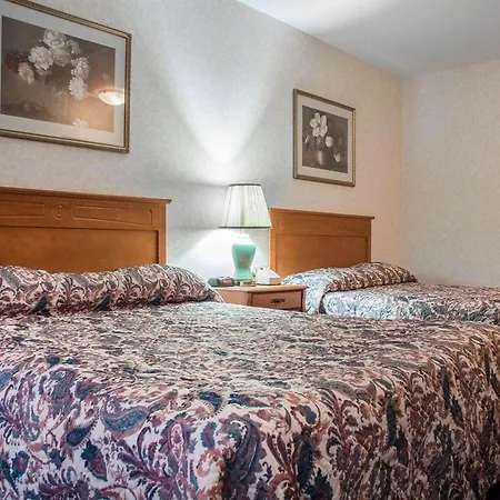 Econo Lodge By The Falls-3