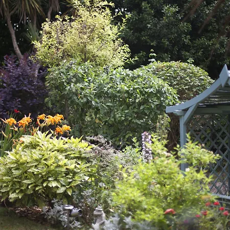Carlton Court-3
