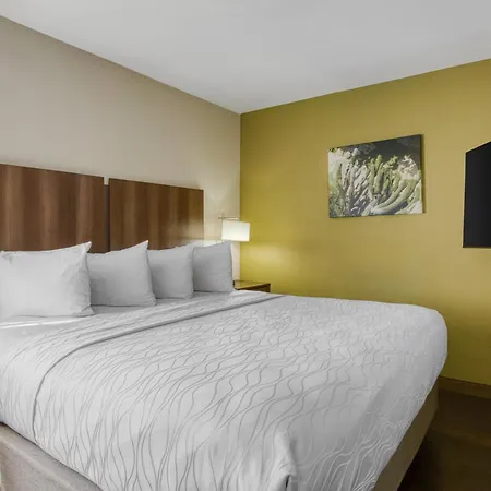 Best Western North Phoenix Hotel-2