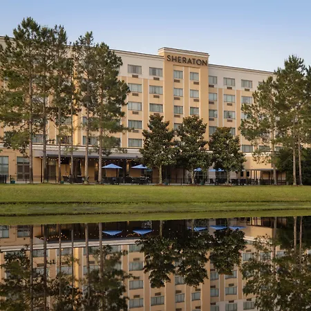 Sheraton Jacksonville Hotel-3