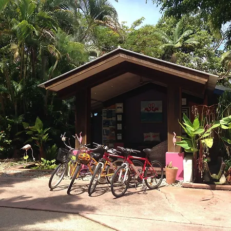 Pink Flamingo Resort-2