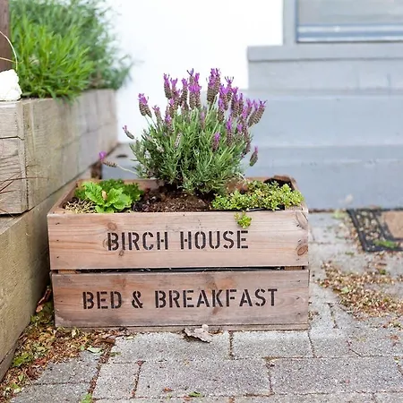 Birch House Bed & Breakfast-3