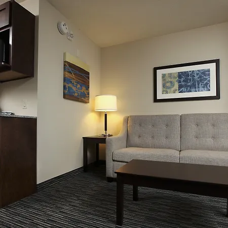 Holiday Inn Express & Suites Omaha South Ralston Arena By Ihg-2