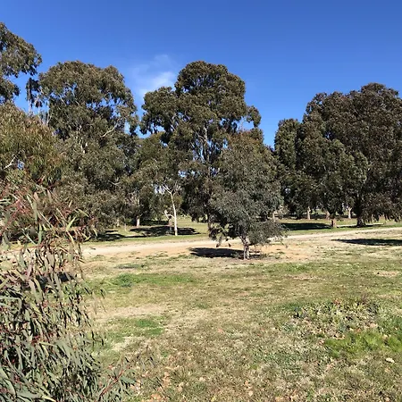 Canberra Lyneham Motor Inn-3