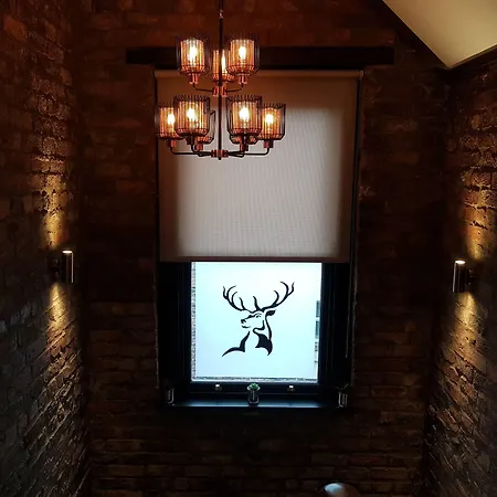 The Glebe Hotel-3