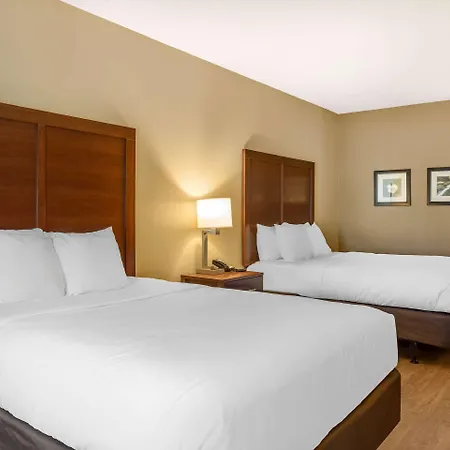 Comfort Inn & Suites At Crossplex Village-3