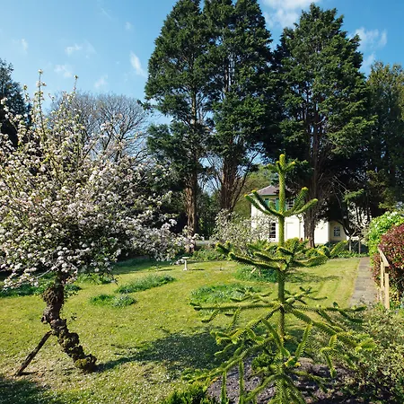 Elm Grove Country House-3