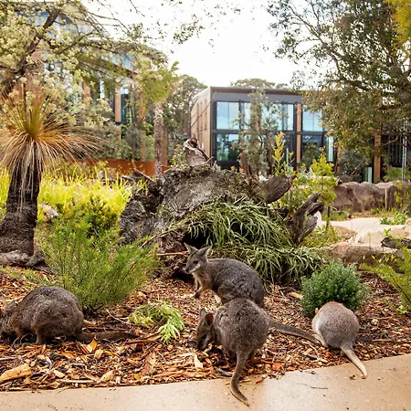 Wildlife Retreat At Taronga-2