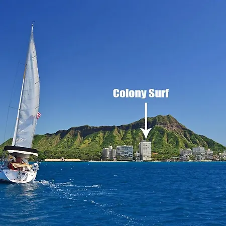 Colony Surf #308-2