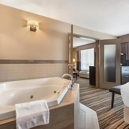 Best Western Plus Calgary Centre Inn-2