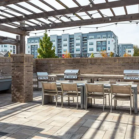 Kasa Freemorewest Charlotte-3