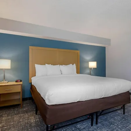 Comfort Inn & Suites Alexandria West-3