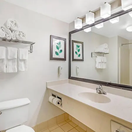 Country Inn & Suites By Radisson, Jacksonville - Orange Park-3