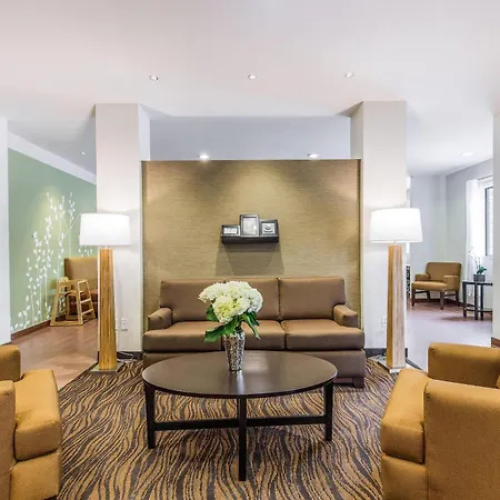 Sleep Inn Dallas Love Field-Medical District-3