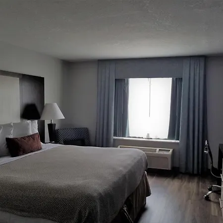 Wyndham Garden Hotel - Jacksonville-2
