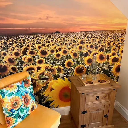 All Seasons Bed & Breakfast - Adults Only-3