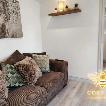 Cosy Bee-2