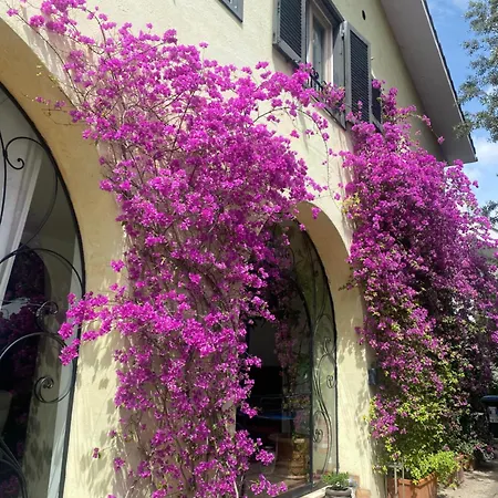 Villa Orsini-3