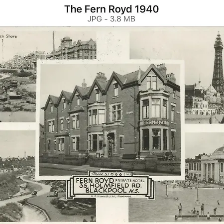 The Fernroyd-2