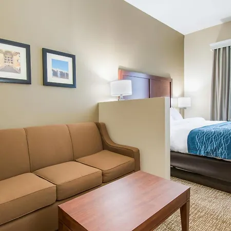 Comfort Inn & Suites Harrisburg - Hershey West-3