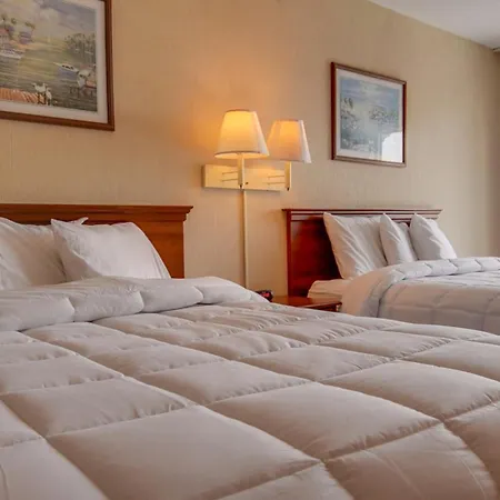 Ocean 1 Hotel & Suites Ocean City-3