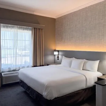 Comfort Suites Galveston Cruise Port Area - Beachside-2
