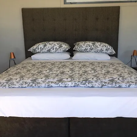 Kohimarama Beach Bed & Breakfast-3