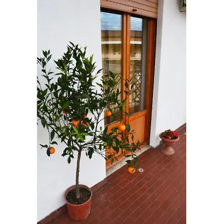 Casa Celeste-3