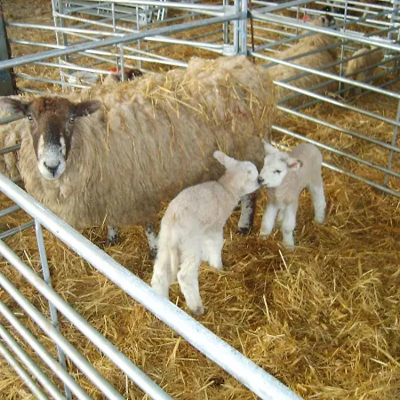 Church Farm-2
