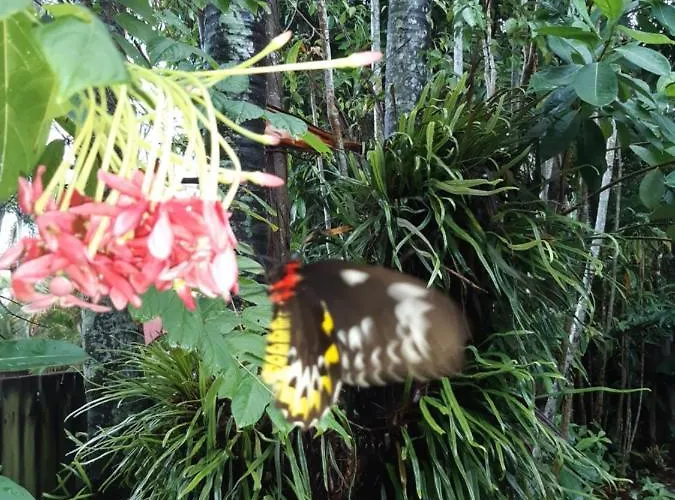 Travellers Paradise Cairns