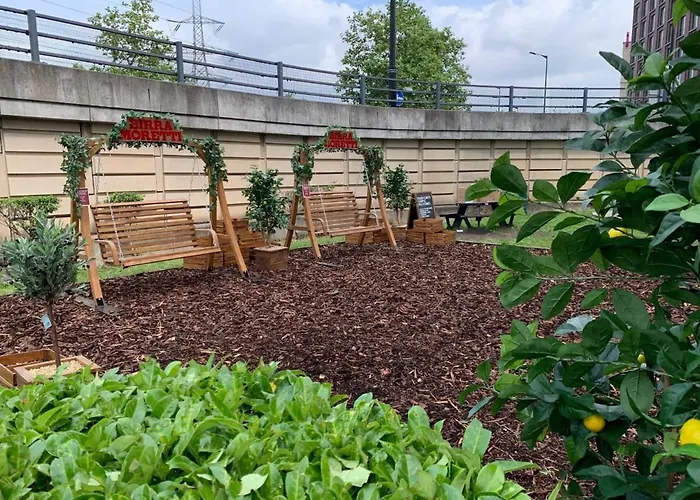 Fox Connaught London Excel Hotel