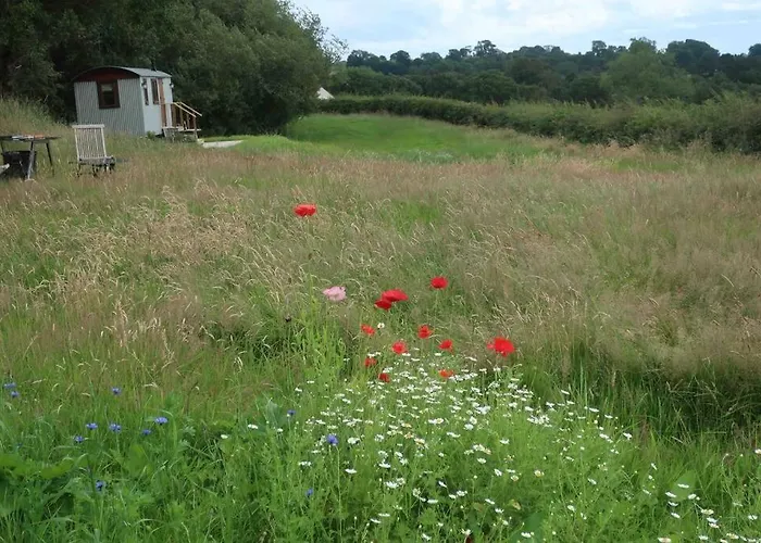 Little Idyll Shepherds Hut Chester