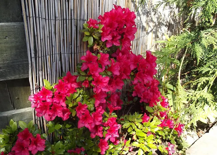 Ardmeanach Bed & Breakfast Inverness