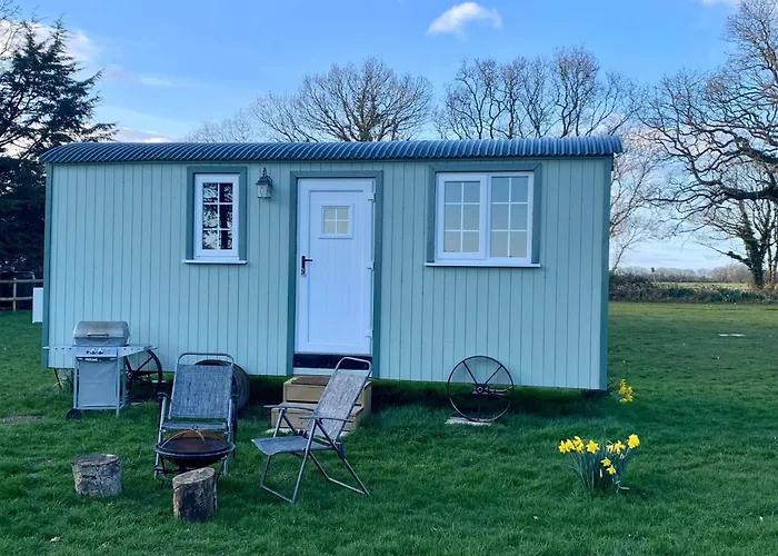 Starry Meadow & Rescued Animal Experiences Villa Great Yarmouth