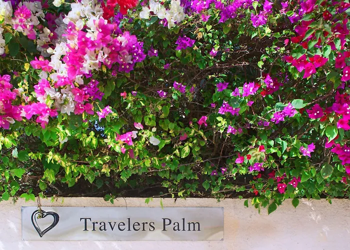 Travelers Palm Inn Key West