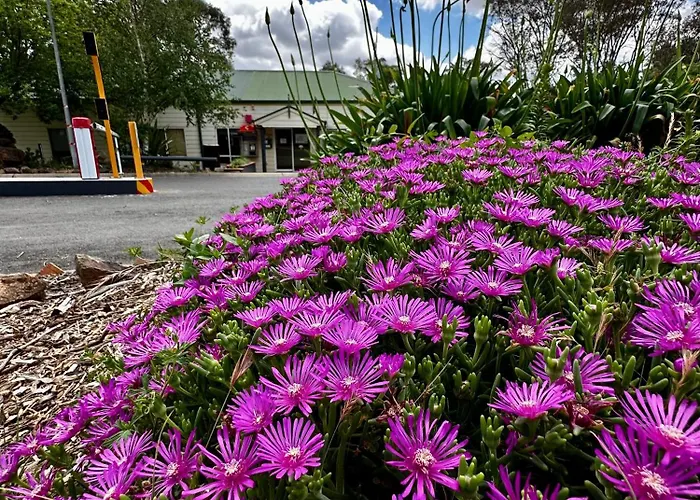 Eaglehawk Park Canberra