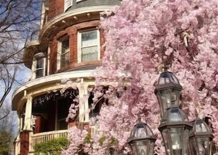 Wilson House Bed & Breakfast Baltimore