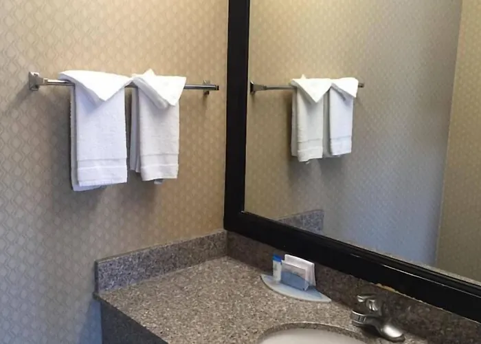 Regency Inn At San Francisco Airport San Bruno