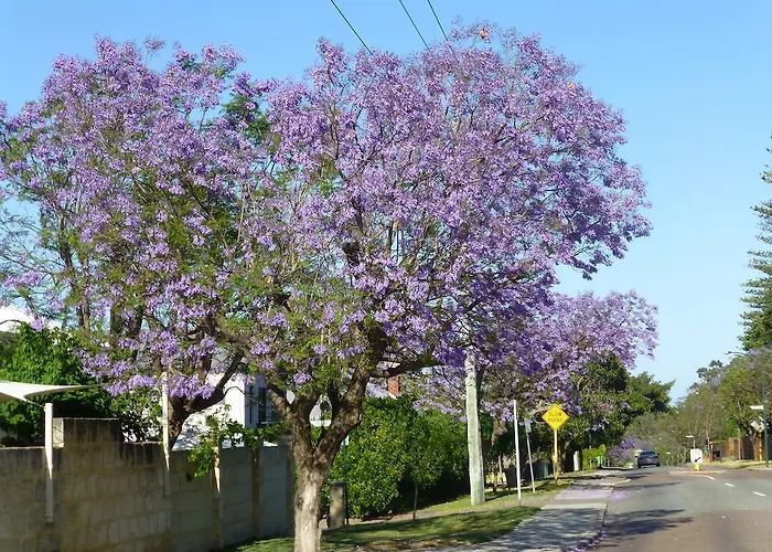 Lakeside Bed & Breakfast Perth